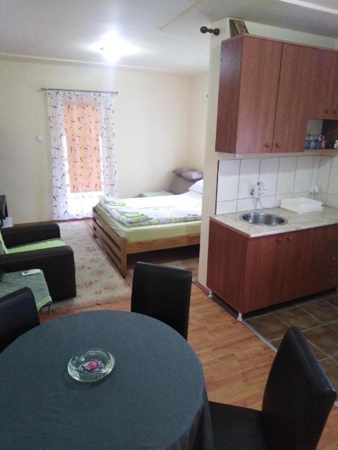 Apartman Sasa Banja Koviljaca Exterior photo