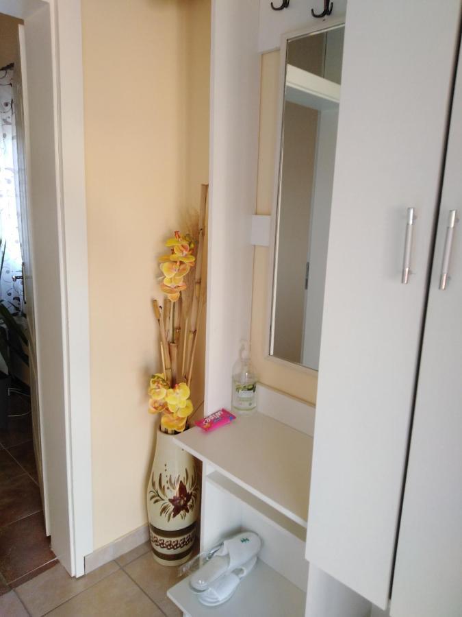 Apartman Sasa Banja Koviljaca Exterior photo