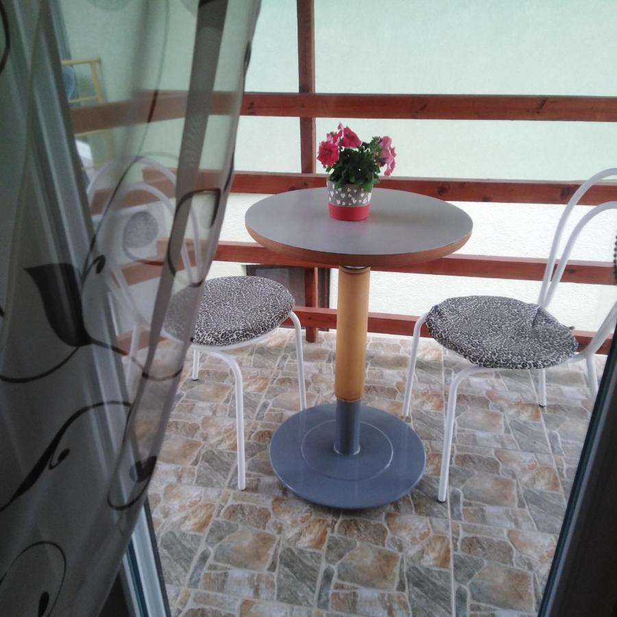 Apartman Sasa Banja Koviljaca Exterior photo