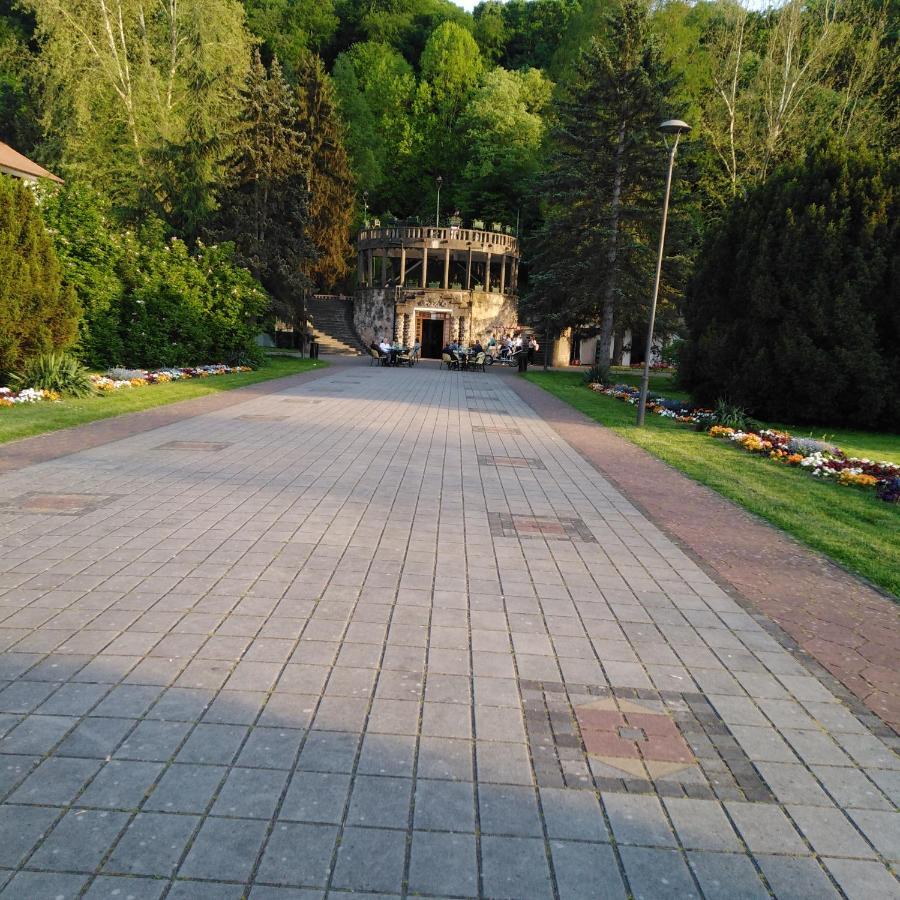 Apartman Sasa Banja Koviljaca Exterior photo